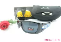 acheter sunglasses oakley 2013 lentille beau oakley good-9093